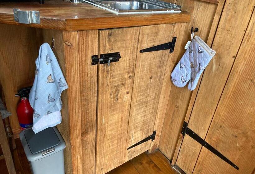 Hotel Berwyn Shepherds Hut