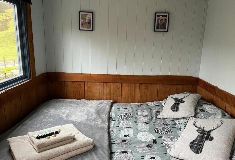 Hotel Berwyn Shepherds Hut