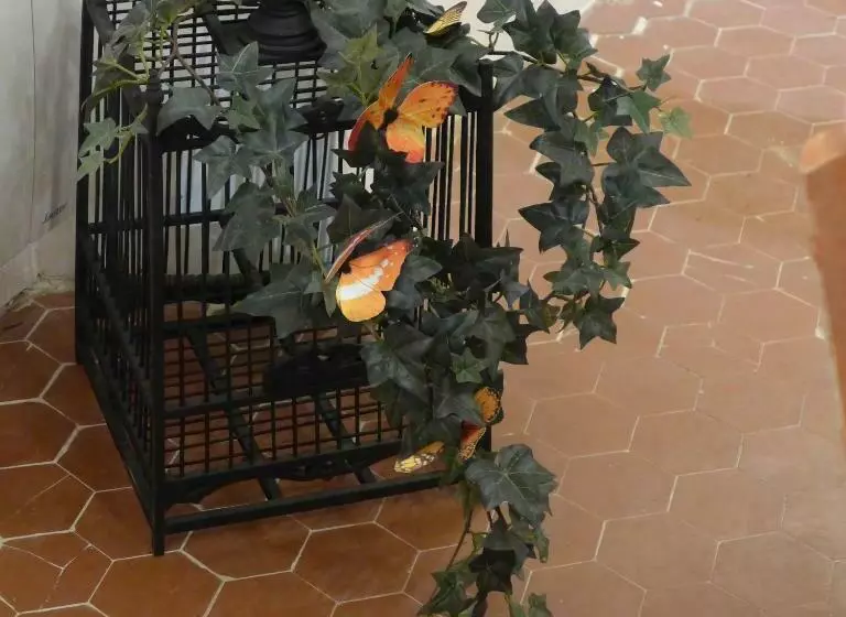 Majatalo Maison D Hôtes Une Hirondelle En Provence