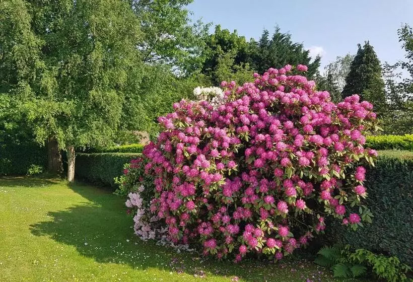 B&b Prince D’orange Waterloo