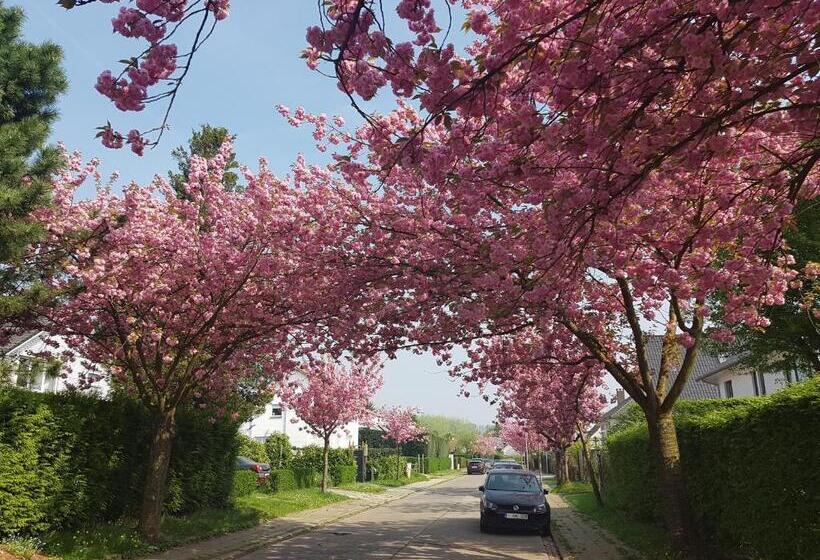 B&b Prince D’orange Waterloo