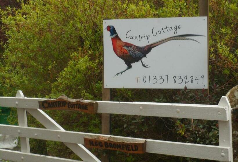 住宿加早餐  Cantrip Cottage