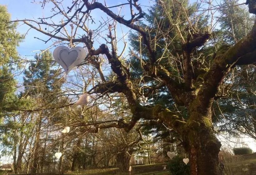 ベッドアンドブレックファースト Chambre D Hôtes Du Côté Des Remparts