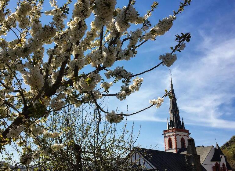 צימר Pension Rehschopp