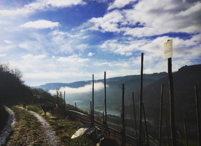 צימר Pension Rehschopp