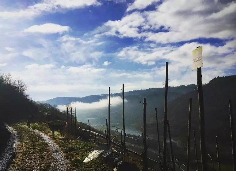 Aamiaismajoitus (B&B) Pension Rehschopp