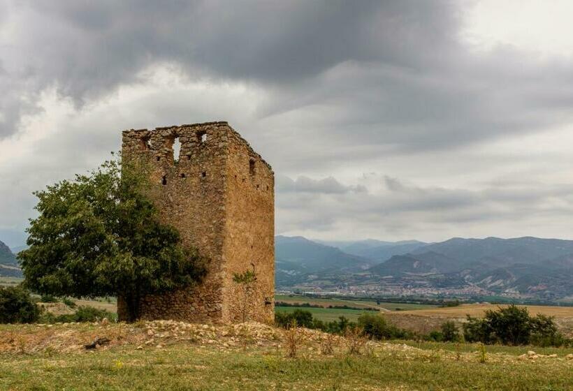 Отель Cal Serveró