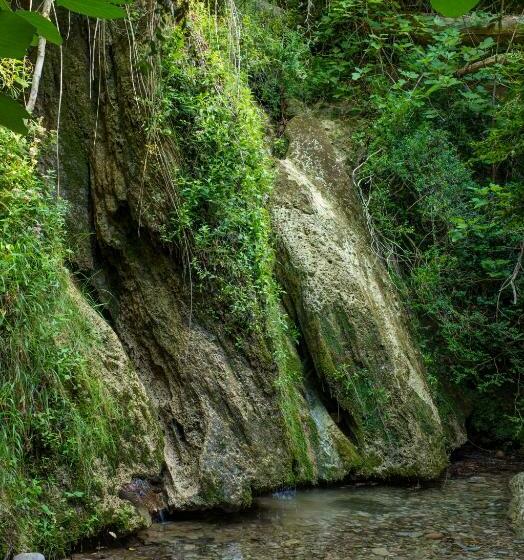 Отель Cal Serveró
