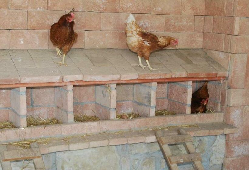 Отель Cal Serveró