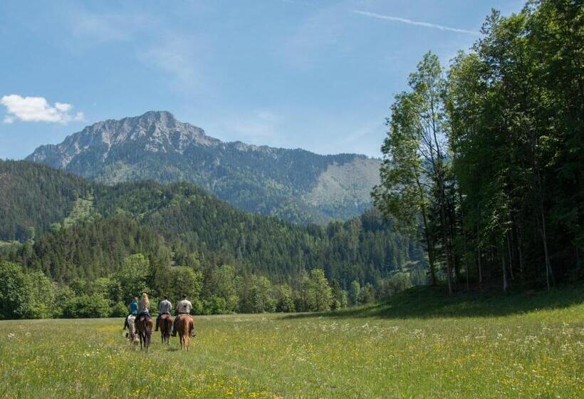 酒店 Reiterbauernhof Maho