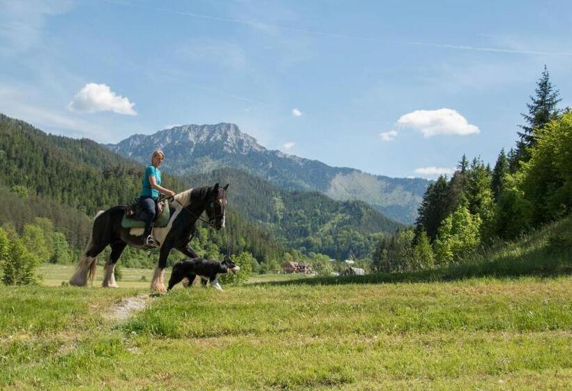 酒店 Reiterbauernhof Maho