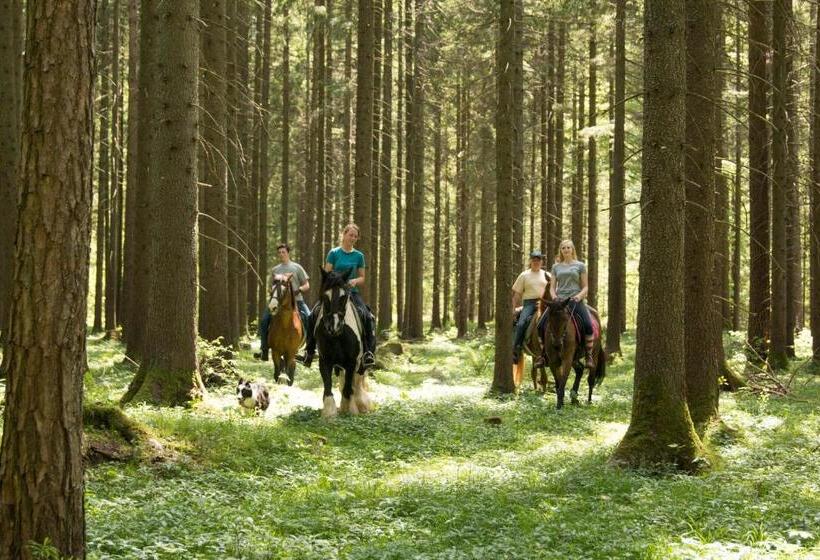 酒店 Reiterbauernhof Maho