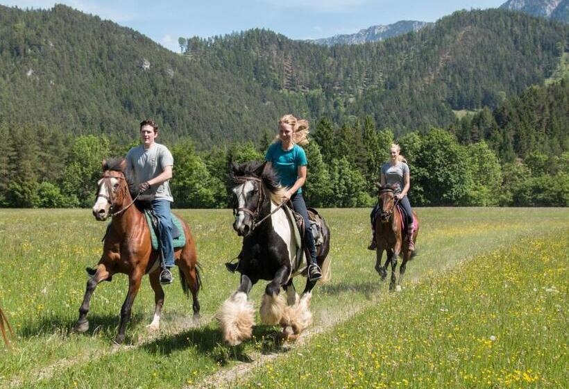 酒店 Reiterbauernhof Maho