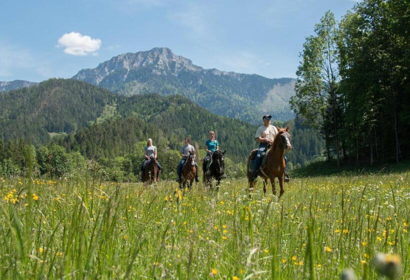 酒店 Reiterbauernhof Maho