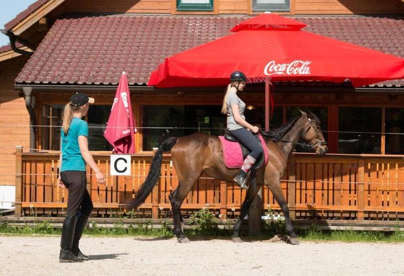 酒店 Reiterbauernhof Maho