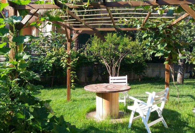 פנסיון Andoramare B&b