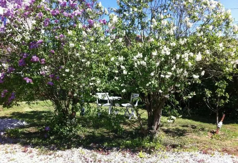 Majatalo Les Lilas Roses