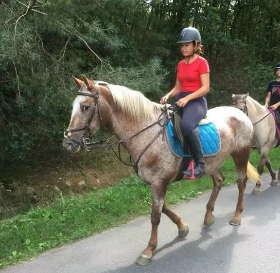 Aamiaismajoitus (B&B) De Blauwe Maaten