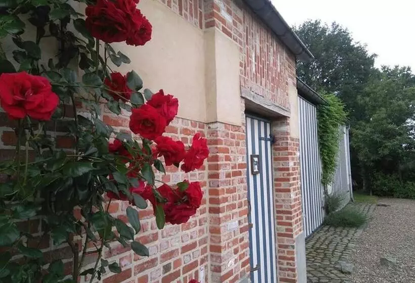 Aamiaismajoitus (B&B) De Blauwe Maaten