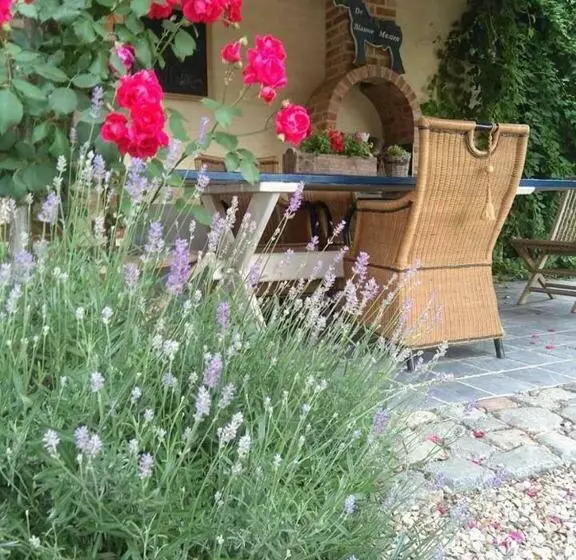 Aamiaismajoitus (B&B) De Blauwe Maaten