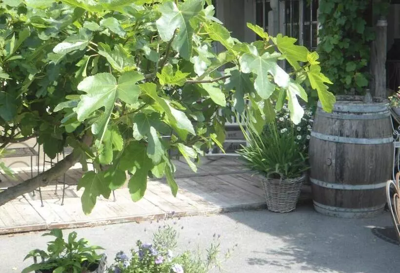 Aamiaismajoitus (B&B) Passe Partout