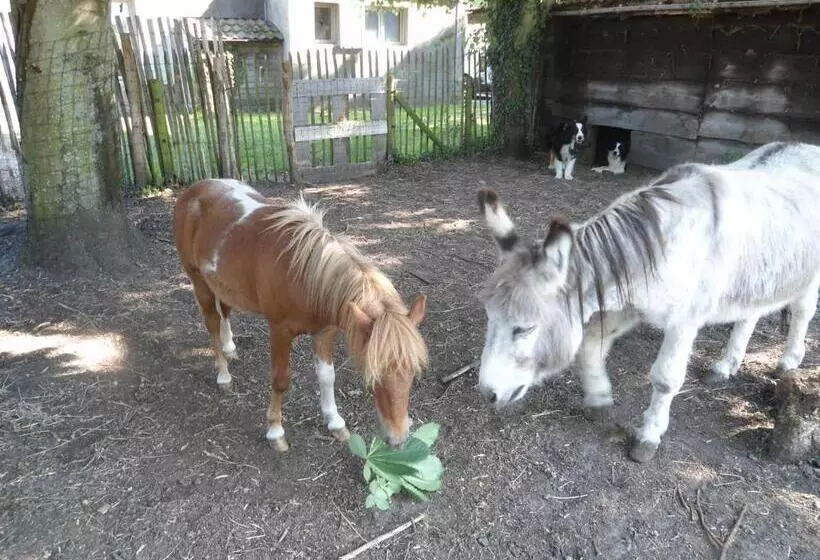 Aamiaismajoitus (B&B) Passe Partout