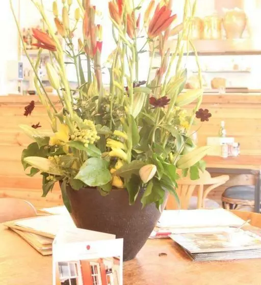 ベッドアンドブレックファースト Proeverij De Azijnmakerij