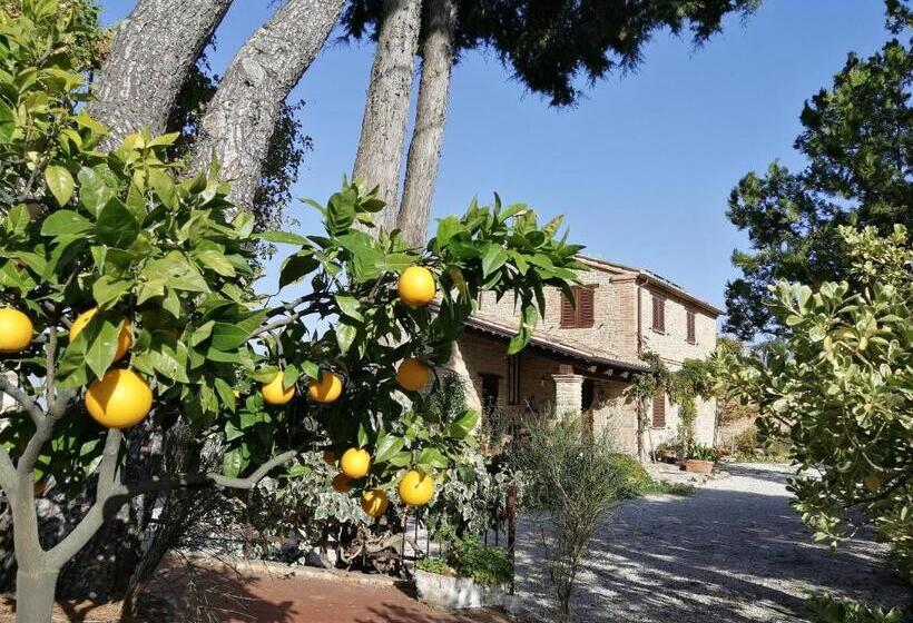 Отель Casale San Martino Agriturismo Bio