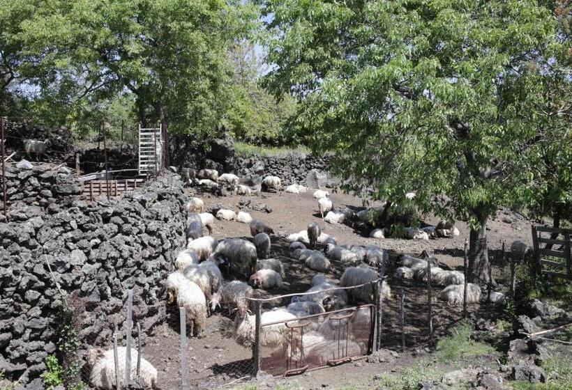 هتل Ecoagriturismo Notti Stellate Etna Mare
