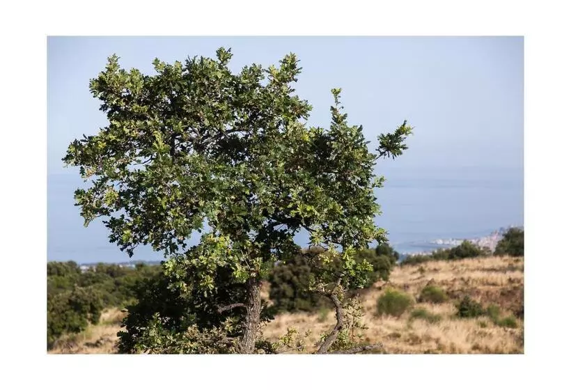 هتل Ecoagriturismo Notti Stellate Etna Mare