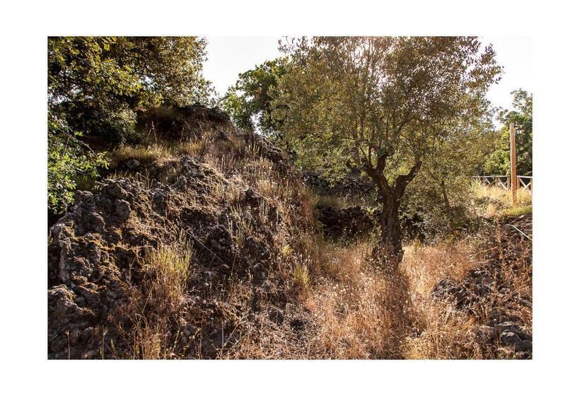 هتل Ecoagriturismo Notti Stellate Etna Mare