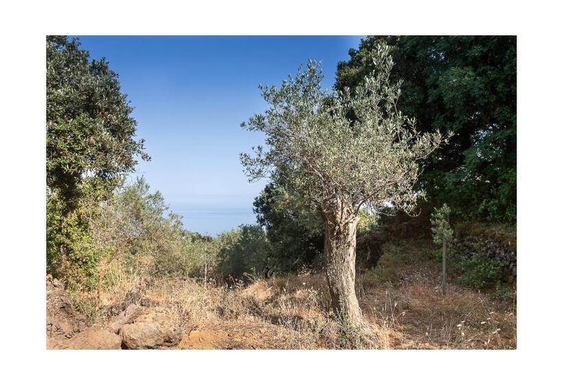 هتل Ecoagriturismo Notti Stellate Etna Mare