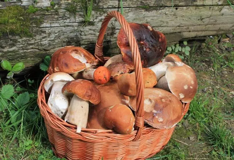 Majatalo Ubytovanie Eva