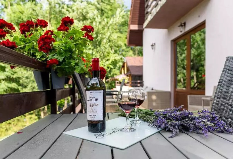 Pensiunea Agroturistica Diana