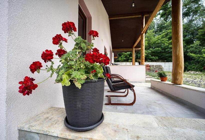 Pensiunea Agroturistica Diana