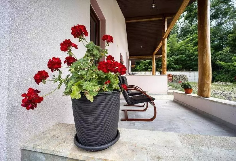 Pensiunea Agroturistica Diana