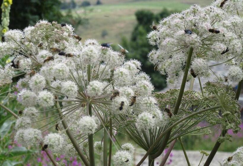 Bed and Breakfast Bastides Du Mezenc