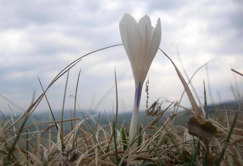 Bed and Breakfast Bastides Du Mezenc