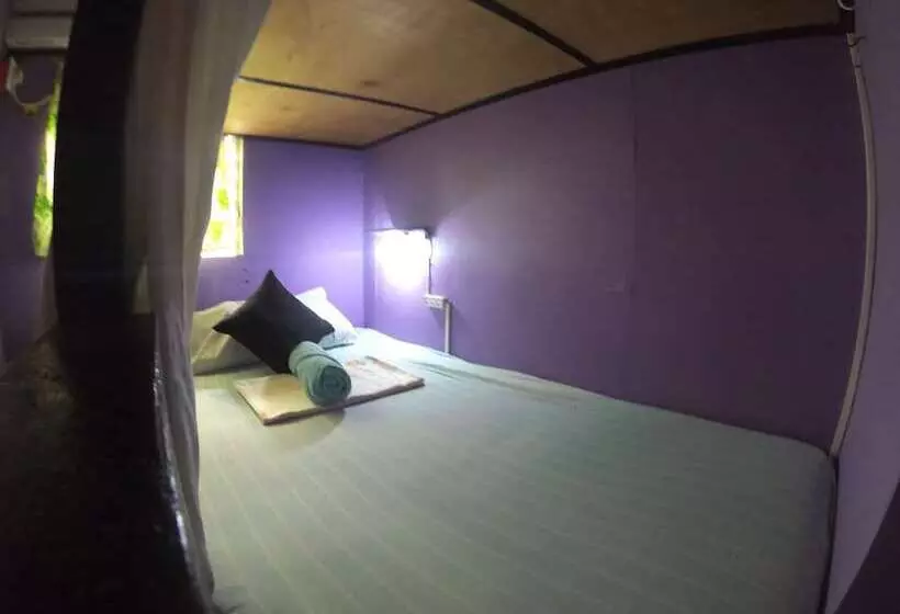 Casa Isabel Hostel