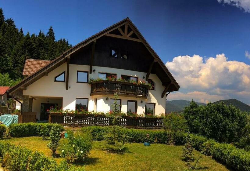 Pensiunea Drumul Plutasilor