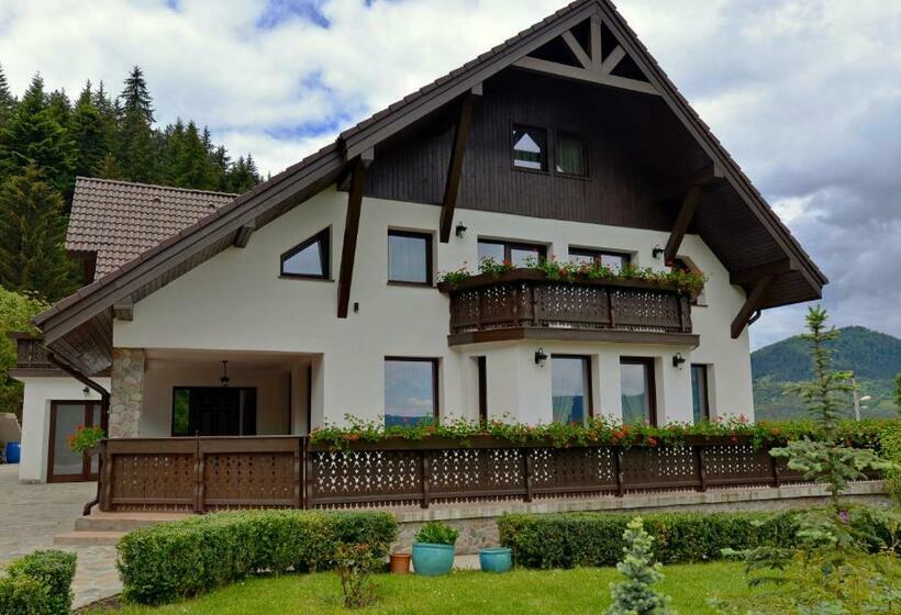 Pensiunea Drumul Plutasilor