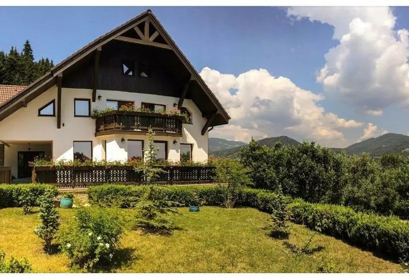 Pensiunea Drumul Plutasilor