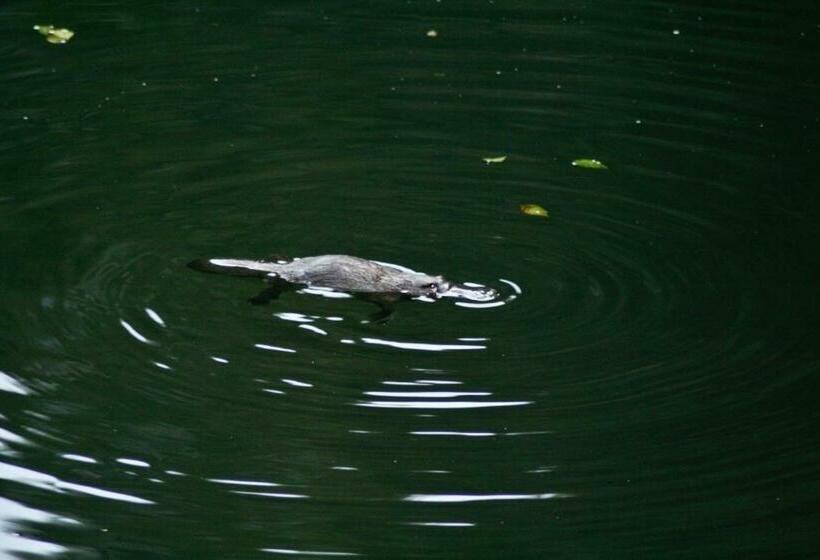 ペンション Kaalba