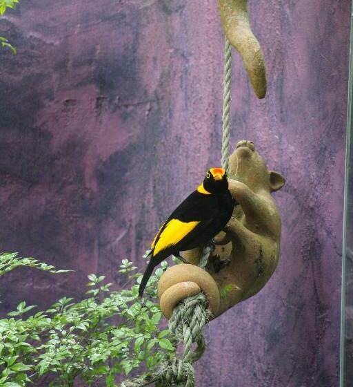 ペンション Kaalba