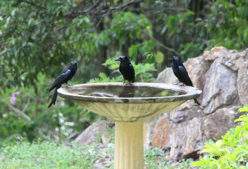 ペンション Kaalba