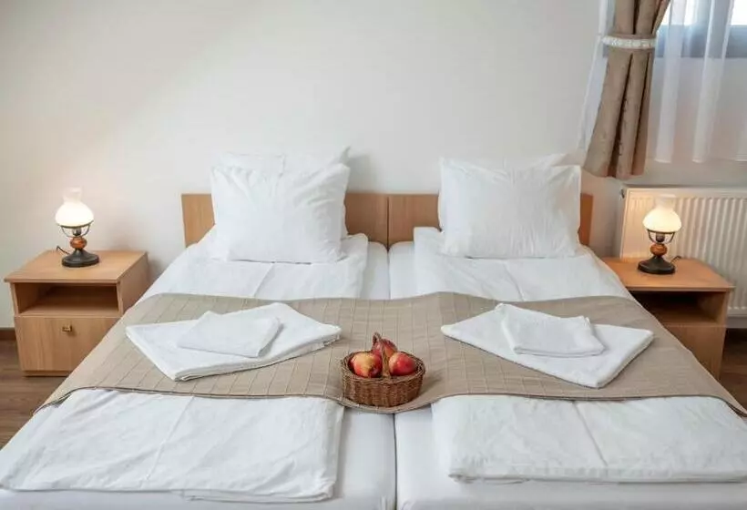 Pensiune Agroturistica Horváth Kert