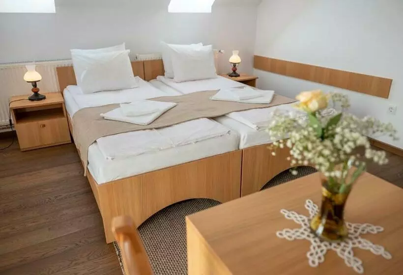 Pensiune Agroturistica Horváth Kert