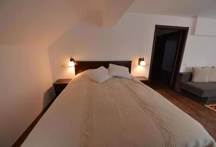 Pensiunea Drumul Plutasilor