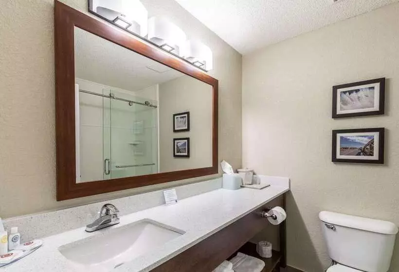 호텔 Comfort Inn South Tulsa   Woodland Hills