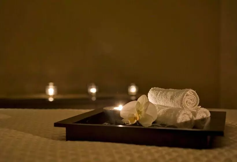 فندق Grand Hyatt Dfw Airport